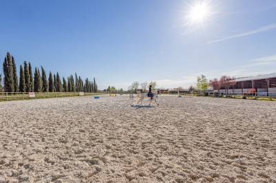 Ecurie à forte rentabilité - activité de transit 