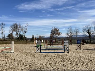 Ecurie d'élevage de valorisation de chevaux de sport