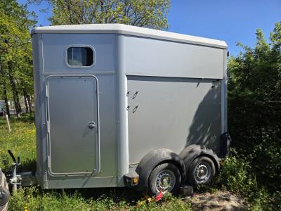 Horse trailer Ifor Williams Hb403 1,5 Stalls 2020 Used