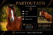 Partoutatis 