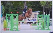 DP poney de sport