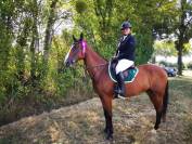 Super ma&icirc;tre d&rsquo;&eacute;cole 