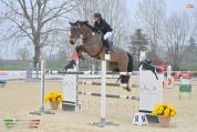 Cavalla da salto ostacoli, di 10 anni, Sella Francese