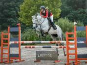 A vendre - Jument Zangersheide - 10 ans 