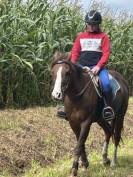 Jument PS loisir randonn&eacute;e 