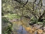 Equestrian property  Morbihan