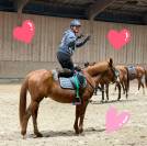 Hongre 10 ans Alezan