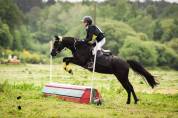 Poney welsh 8 ans 