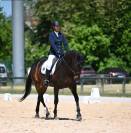 Jument porteuse SF 10 ans