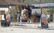 Poney de sport et loisirs