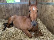 6 ans &agrave; vendre