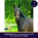 Magnifique hongre env 1m73 pour bonne maison