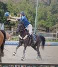 Top Jument AQPS de 10ans CCE/horse ball