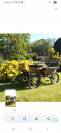 Caleche wagonette wolf 6 places