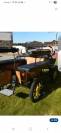 Caleche wagonette wolf 6 places