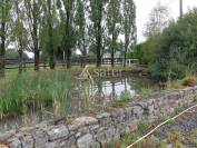 Exploitation agricole bovins viandes