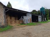 Exploitation agricole bovins viandes