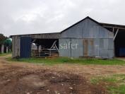 Exploitation agricole bovins viandes