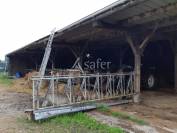 Exploitation agricole bovins viandes