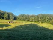 Nouvelle Aquitaine _ Propri&eacute;r&eacute; &eacute;questre de Qualit&eacute;