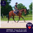 5 ans env 1m68 magnifique et top mental