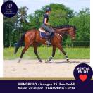 5 ans env 1m68 magnifique et top mental