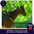 5 ans env 1m68 magnifique et top mental