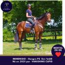 5 ans env 1m68 magnifique et top mental