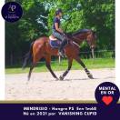 5 ans env 1m68 magnifique et top mental