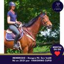 5 ans env 1m68 magnifique et top mental