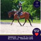 5 ans env 1m68 magnifique et top mental