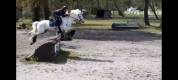 Enseignement et Saddle Fitting dans le 64