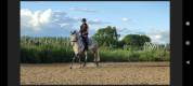 Enseignement et Saddle Fitting dans le 64