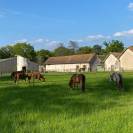 Pension box/paddocks et pr&eacute;