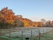 Pension box / paddock dans l'Indre