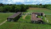 A 35 minutes au Sud de BORDEAUX: propri&eacute;t&eacute; AGRICOLE &agrave; r&eacute;nove