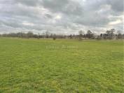 Equestrian property  Yvelines
