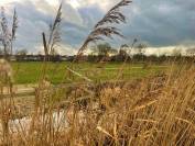 Equestrian property  Yvelines