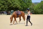 Poney 3ans femelle 