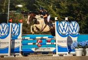 Magnifique Jument pie origines sport de 6 ans 