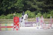 ✨ &Agrave; VENDRE &ndash; Jeune cheval d&rsquo;avenir ✨