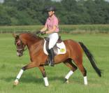 Poulini&egrave;re avec sa pouliche Deutsches Reitpony