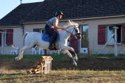 Poney onc 