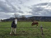 Pension au pr&eacute; - Les prairies de Larina - Hieres sur Amby (38)