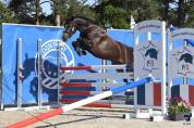 M&acirc;le PFS 2 ans par Champagne d'Ar Cus Top origines CSO 