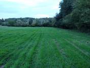 Prairie/pr&eacute; - Montreuil sur Epte 95770
