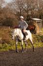 Cheval horse ball &agrave; vendre 