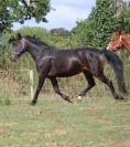 ponette,5 ans