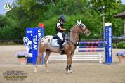 Merrie Bekend ras Te koop 2019 Bruinroan