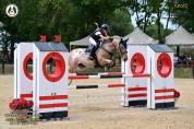 Merrie Bekend ras Te koop 2019 Bruinroan